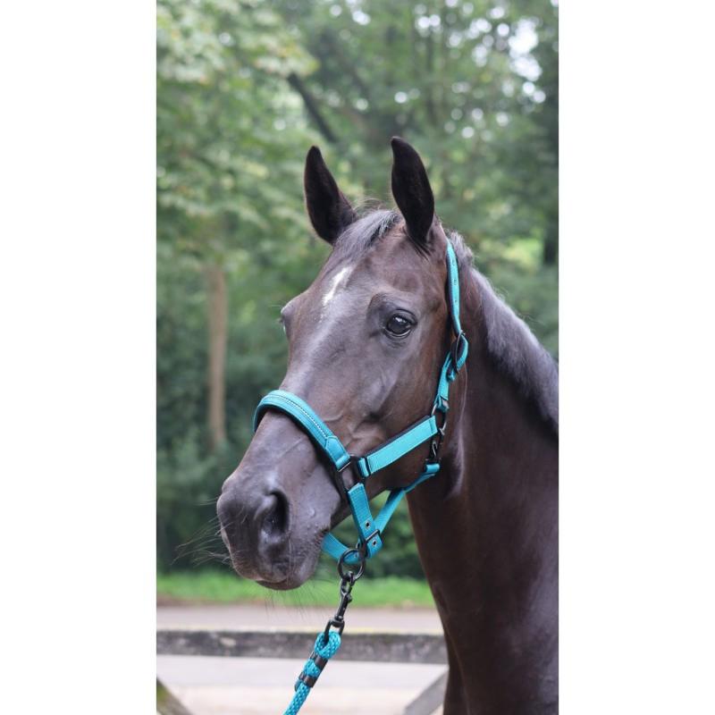 LAMI-CELL - Licol synthétique matelassé avec Strass CHARMING ROSE