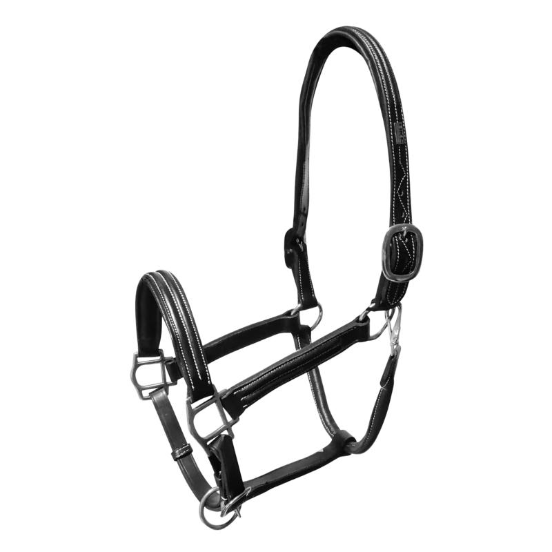 SUPREME - Licol en cuir triple épaisseur multi réglage matelassé