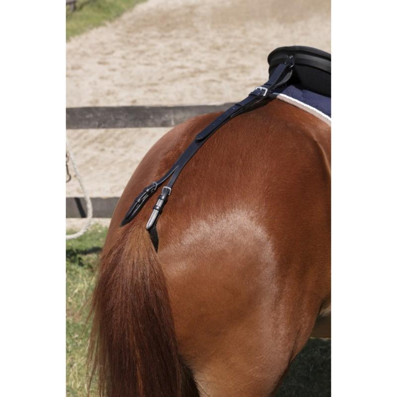 Croupière en Cuir Double réglage avec Boucles SHETLAND NOIR  (sauf TRAIT)