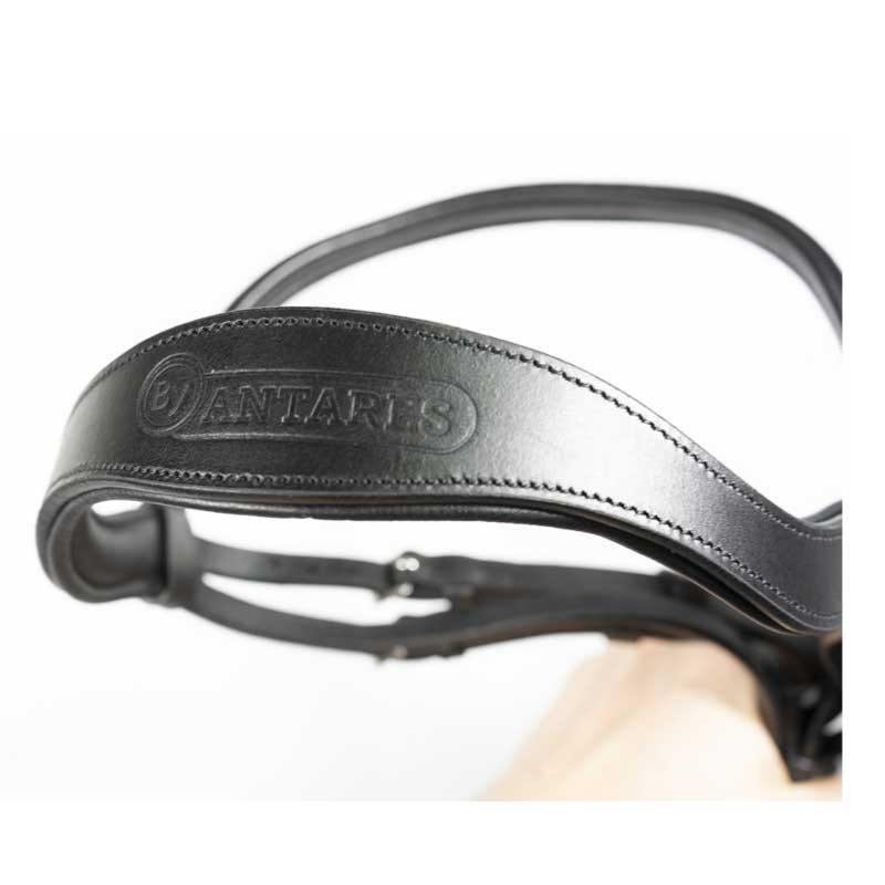 SIGNATURE by ANTARES -Bridon à Large Muserolle Combinée DRESSAGE COB