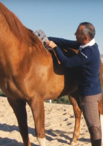 Outil de Mesure d'Ouverture d'Arcade pour Selle anglaise toutes marques