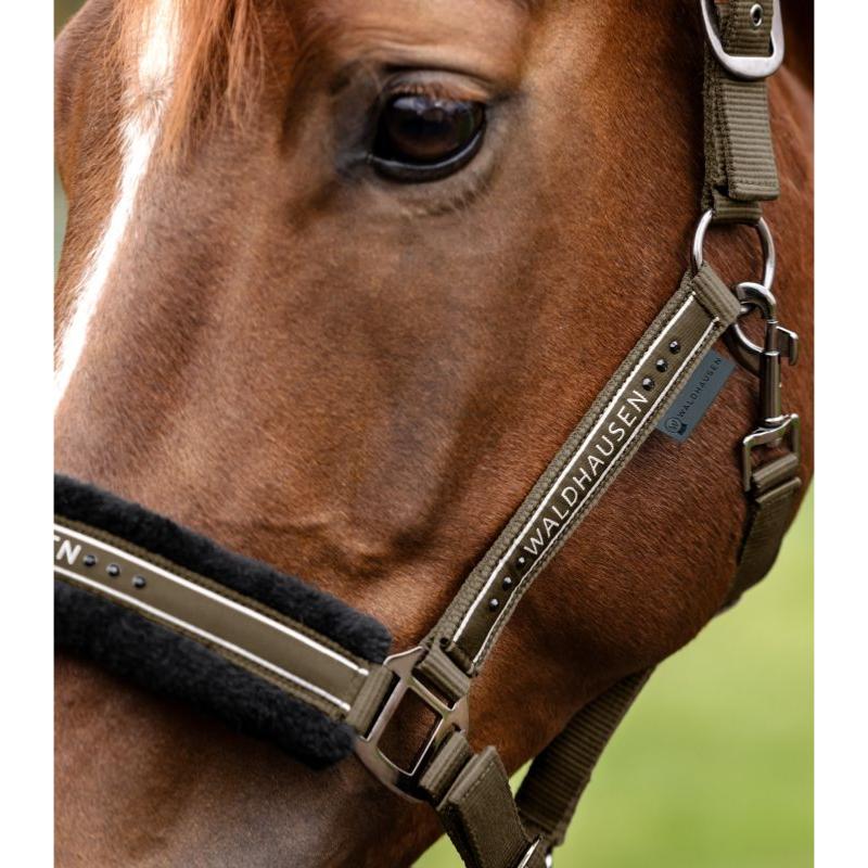 WALDHAUSEN - Licol nylon mouton et Strass ELEGANT PONEY GRIS TAUPE