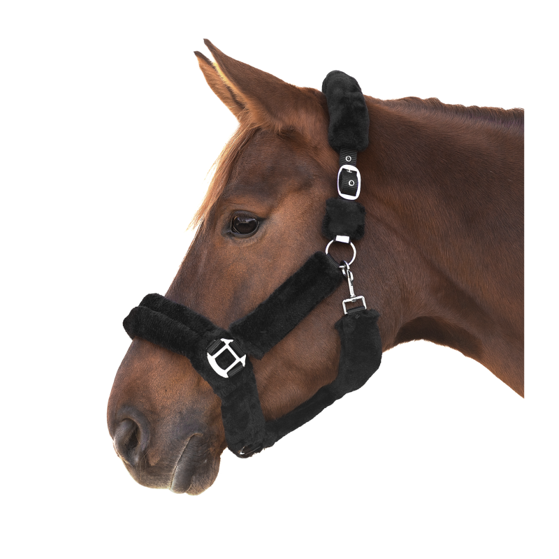 WALDHAUSEN- Licol Doublé Mouton avec Mousquetons COZY PONEY NOIR boucles Argent