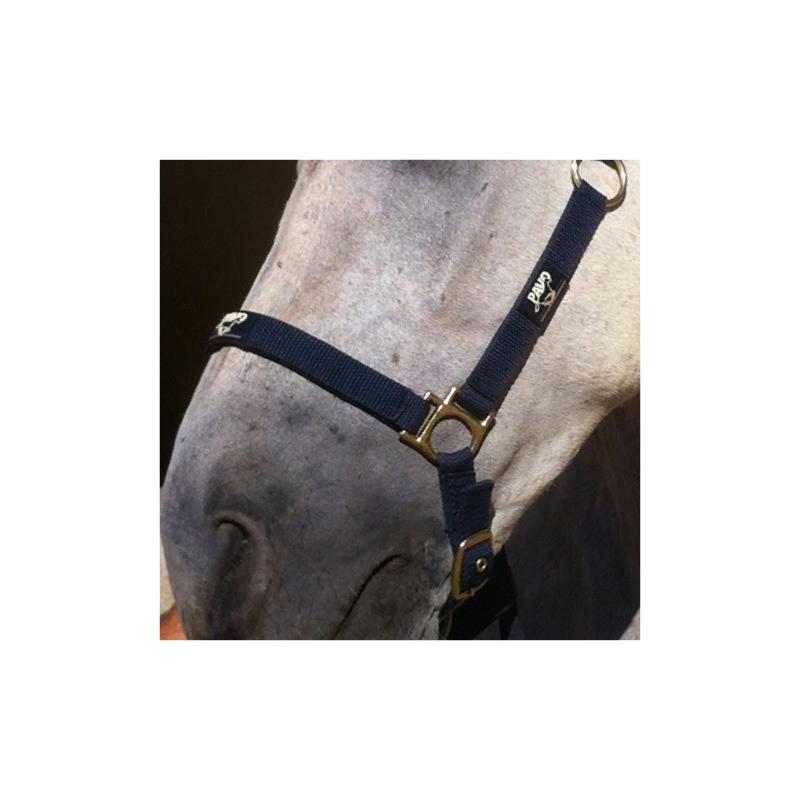 ANIMADERM - Crème Cicatrisante et de Repousse du poil CUTENE 100 ML