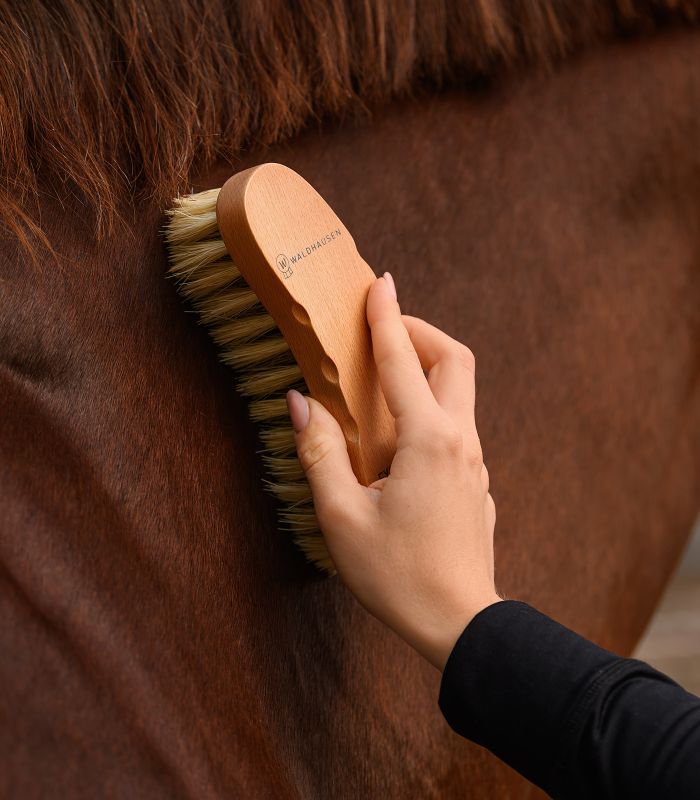WALDHAUSEN - Brosse de pansage à Fibres dures et souples  EXCLUSIVE