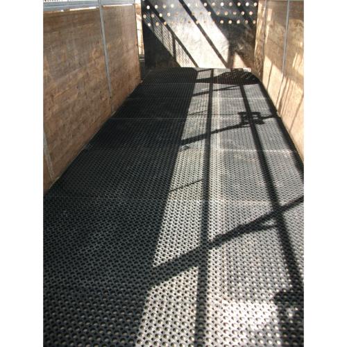 CHALLENGER - Dalle douche 1.50M X 1.00 M caillebotis 23 mm pour Chevaux