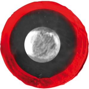 PATURA - Câble haute tension super isolé pour clôture électrique 