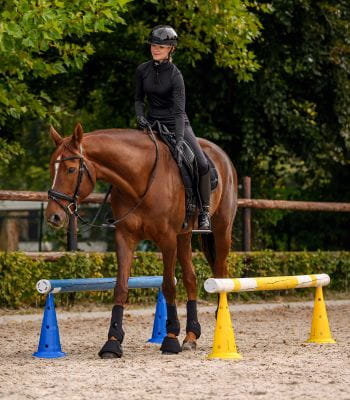 WALDHAUSEN - Lot de 8 cones à trous hauteur 50 CM avec sac de transport
