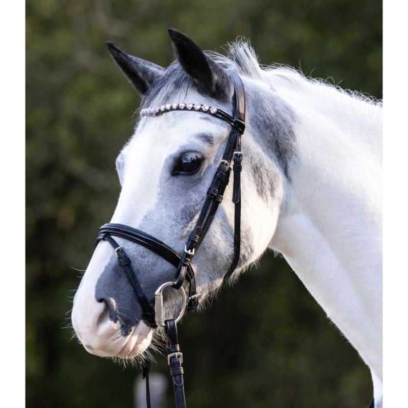 WALDHAUSEN - Bridon à Strass coeurs pour Poney, SHETLAND, MINI Shetland  HAPPY HEARTS MINI SHETLAND