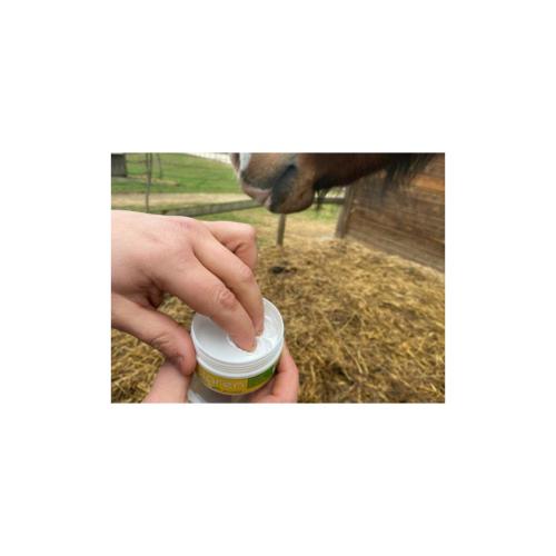 ANIMADERM- Crème de Protection Solaire du Cheval SOLAREN