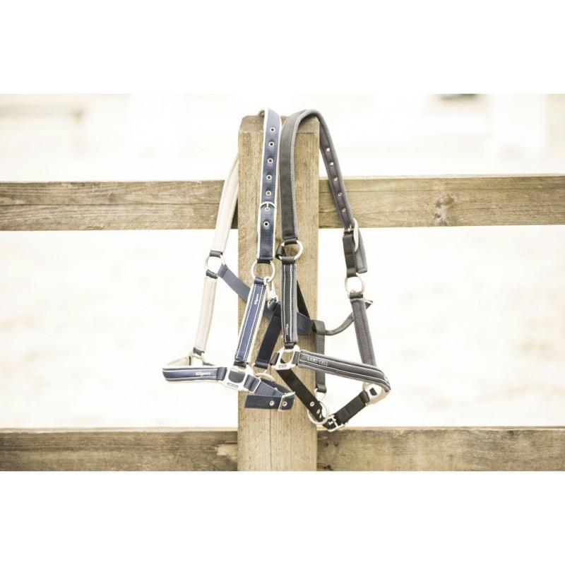 LAMI-CELL - Licol Nylon Doublé Polaire ELEGANCE PONEY Marine/champagne PONEY (DERNIER) PONEY Dernier !