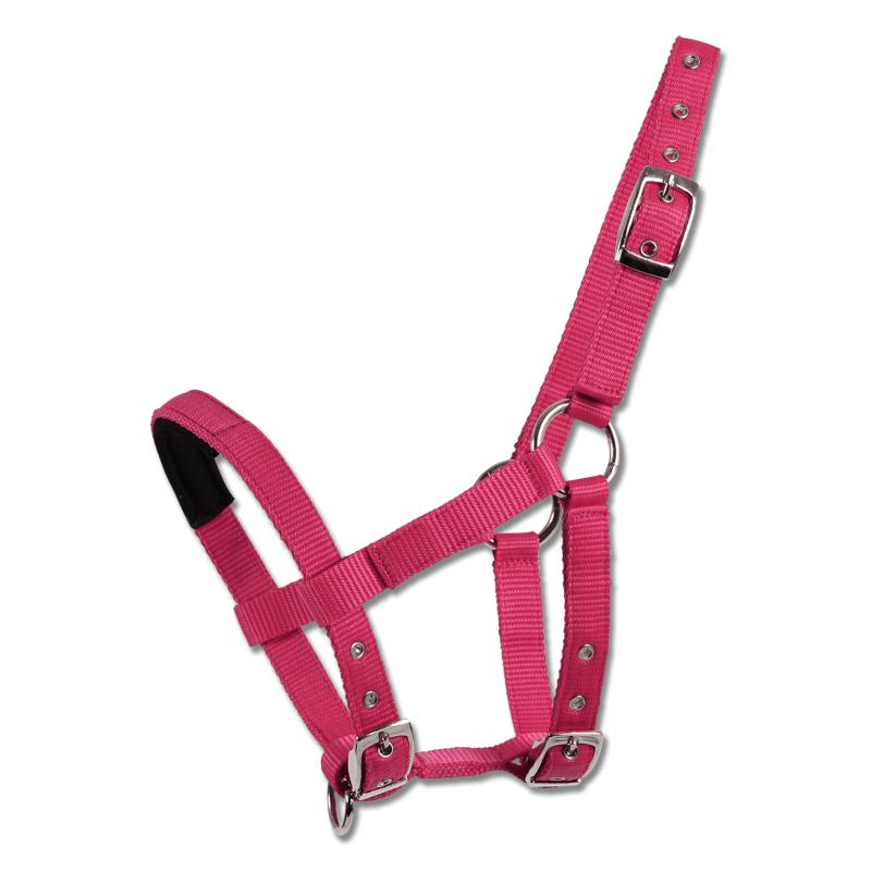 Waldhausen - Licol nylon multi réglage pour Mini Shetland