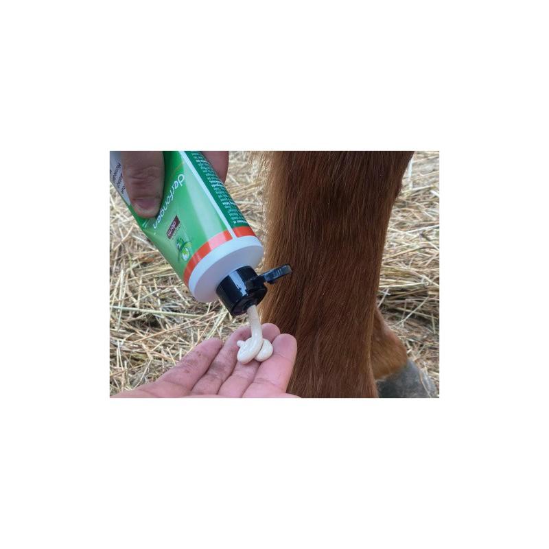 ANIMADERM- Lotion Apaisante Gale de Boue du Cheval DERFONGEN 250 ML