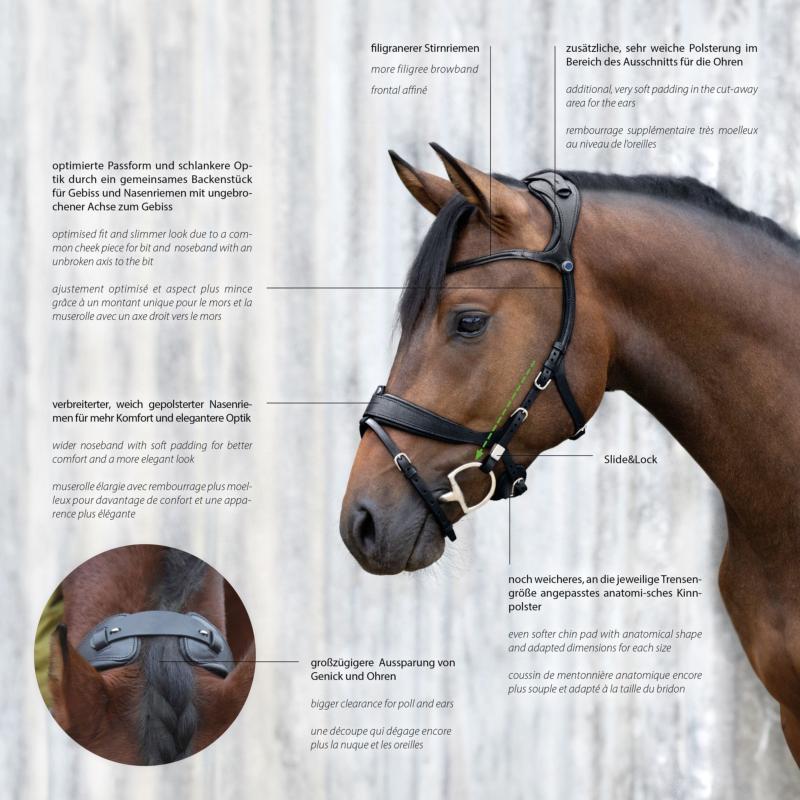 STÜBBEN - Bridon à Têtière Déportée FREEDOM II Slide & Lock System CHEVAL NOIR