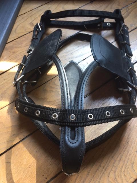 WALDHAUSEN - Harnais d'Attelage Synthétique SHETLAND STAR,