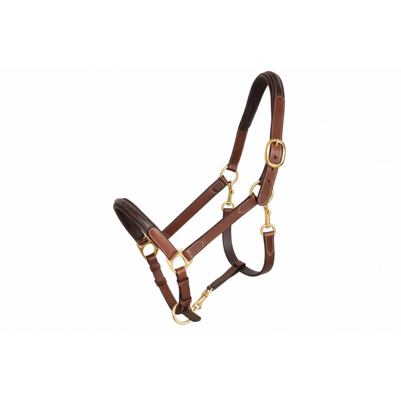 PADDOCK SPORTS - Licol en cuir bicolore réglable 3 mousquetons