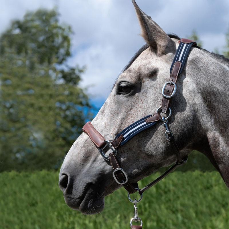 SIGNATURE by ANTARES - Licol anti panique STRESSLESS montants élastiques COB