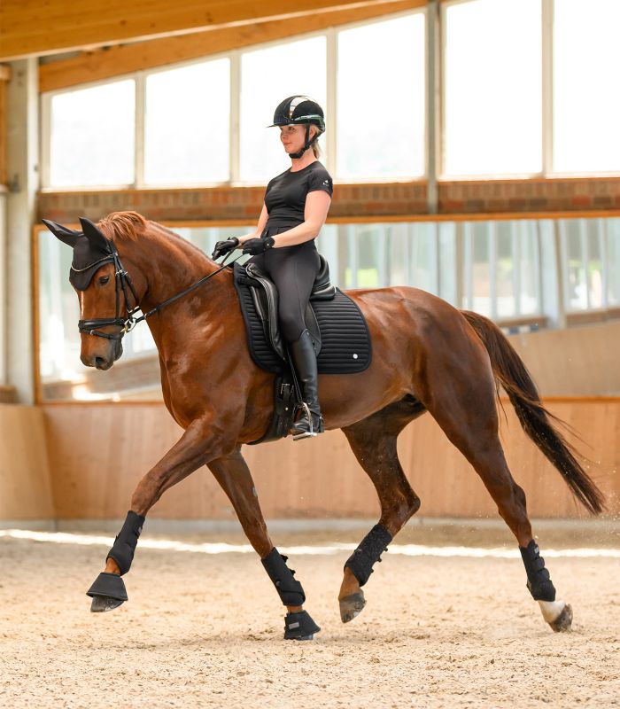 WALDHAUSEN - Chabraque en softshell respirant TRINIDAD