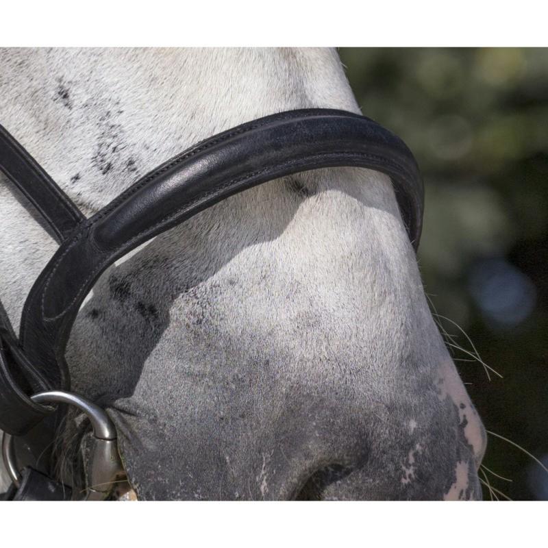 NORTON - Bridon cheval de TRAIT cuir avec muserolle française NOIR