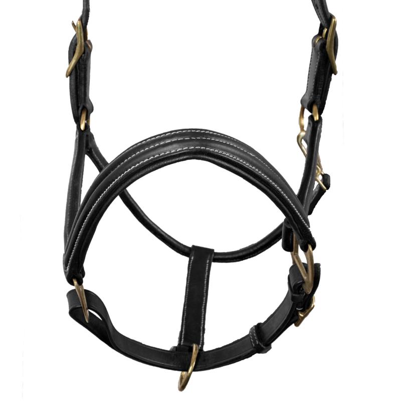 SUPREME - Licol en cuir triple épaisseur multi réglage matelassé NOIR PONEY