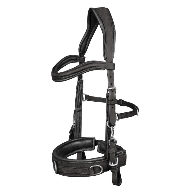 WALDHAUSEN - Caveçon cuir 3 anneaux avec montants pour mors PONEY NOIR