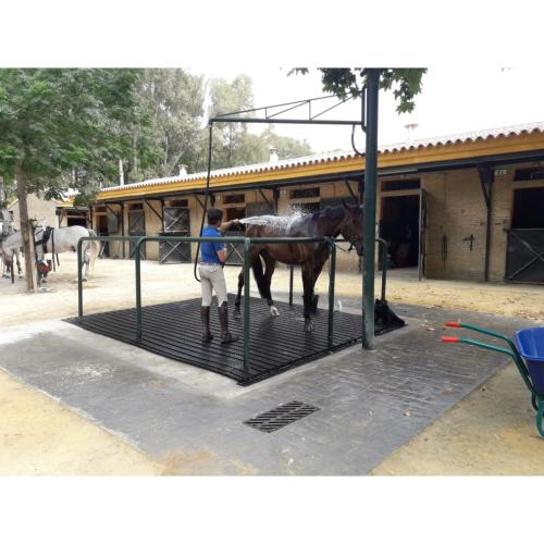 MAGELLAN - Tapis draimant pour zone de douche chevaux, le ML