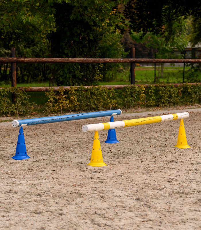 WALDHAUSEN - Fiches pour barres d'obstacle en PVC spéciales plots et cones de jeux, LES 4
