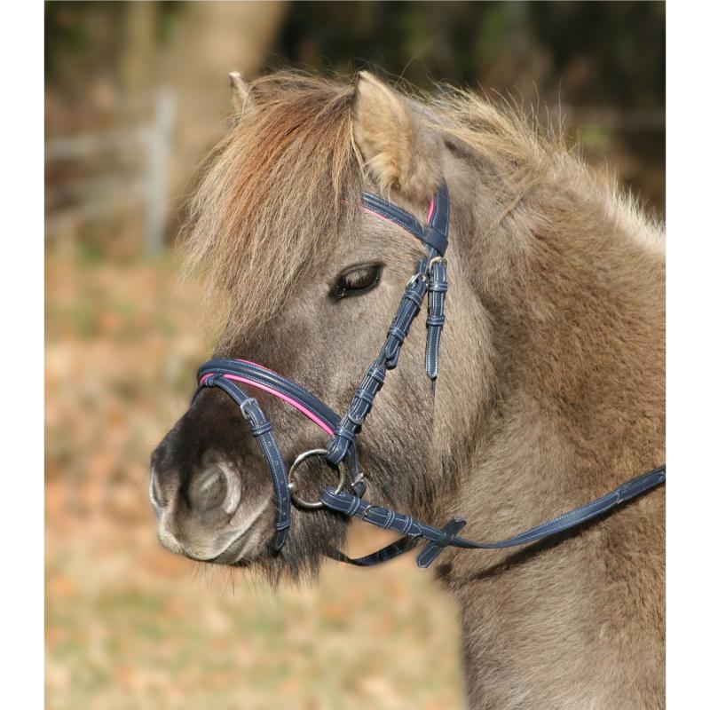 WALDHAUSEN - Bridon Shetland, Poney Bicolore avec Strass UNICORN Mini Shetland