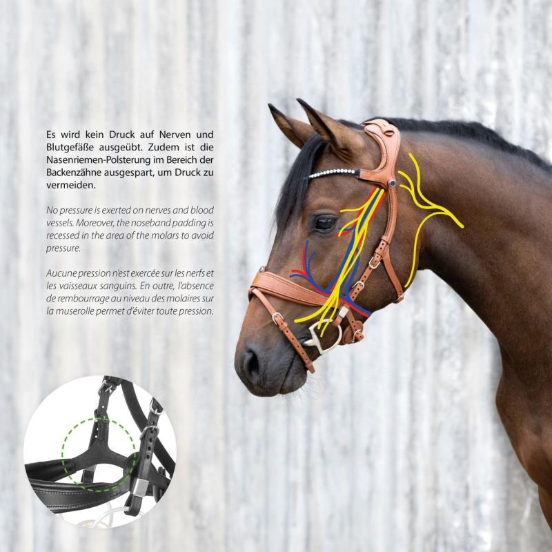STÜBBEN - Bridon à Têtière Déportée FREEDOM II Slide & Lock System CHEVAL NOIR