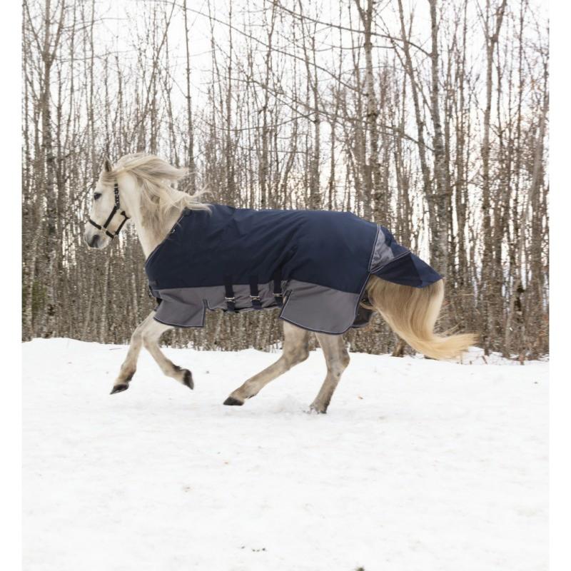 EQUITHEME TYREX - Chemise de pré Belt TYREX 600D à protection ventrale 125 cm/5'9/175 cm