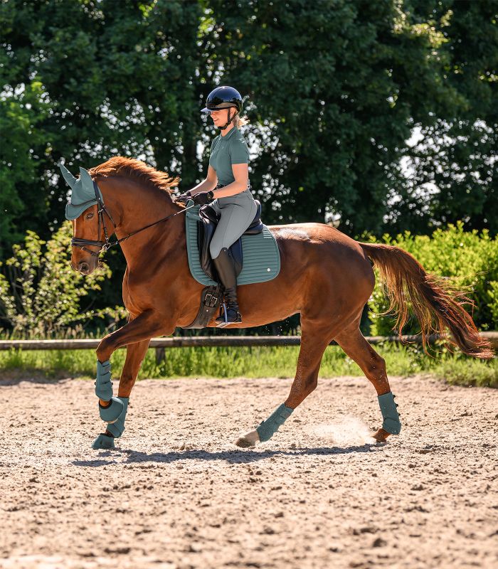 WALDHAUSEN - Chabraque en softshell respirant TRINIDAD