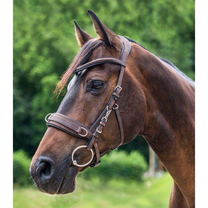 WALDHAUSEN - Caveçon cuir 3 anneaux avec montants pour mors