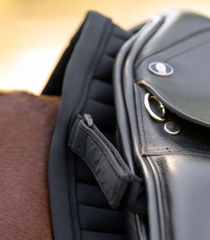 WALDHAUSEN - Chabraque en softshell respirant TRINIDAD