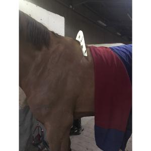 Outil de Mesure d'Ouverture d'Arcade pour Selle anglaise toutes marques