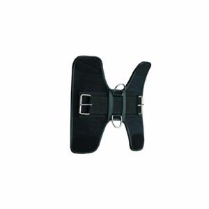 Felix BRASSEUR - Surfaix pour Travail à pied aux Longues Rênes 