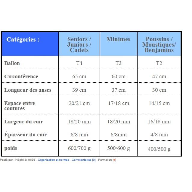 Ballon de Horse Ball Avec Poignées Cuir Doublées Nylon taille 3