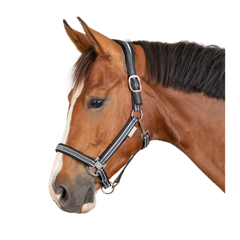 WALDHAUSEN - Licol synthétique doublé velours réglable ATHELTIC PONEY ROUGE/BEIGE