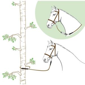 NORTON - Longe de Randonnée Nylon et Cuir cheval