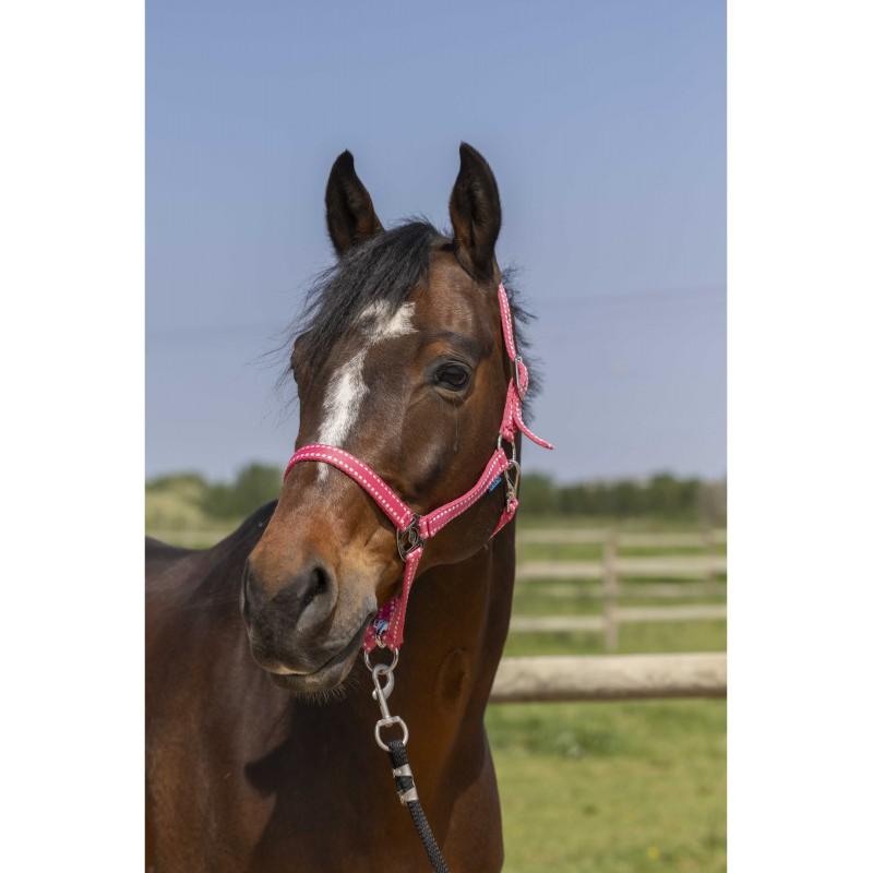 NORTON - Licol réglable en polypropylène 3 mousquetons  GROOMING PONEY BORDEAUX