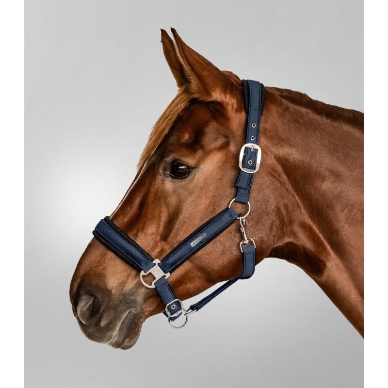 WALDHAUSEN - Licol synthétique satiné doublé maille BREATH PONEY NOIR