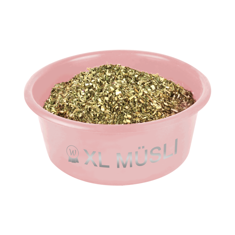 Bol à Muesli d’Écurie avec Couvercle 8 Litres GRIS