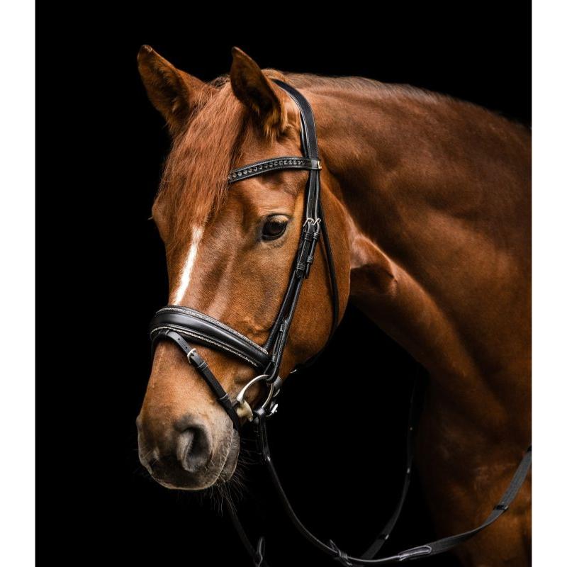WALDHAUSEN - Bridon en cuir montants ronds avec cristaux GLAMOUR S LINE CHEVAL