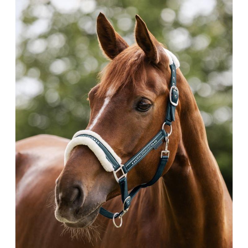 WALDHAUSEN - Licol nylon mouton et Strass ELEGANT PONEY GRIS TAUPE