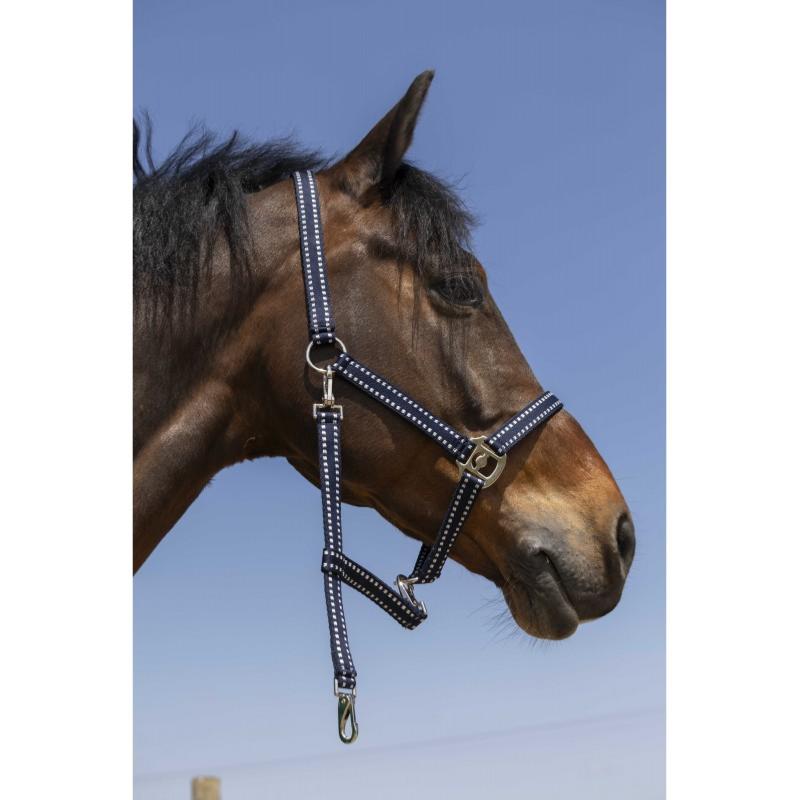 NORTON - Licol réglable en polypropylène 3 mousquetons  GROOMING PONEY BORDEAUX