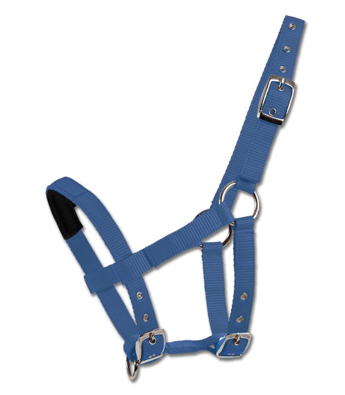 Waldhausen - Licol nylon multi réglage pour Mini Shetland BLEU