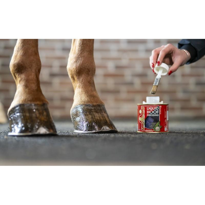 KEVIN BACON'S - Huile de Soin pour Pied et Corne HOOF DRESSING POT 500 ML