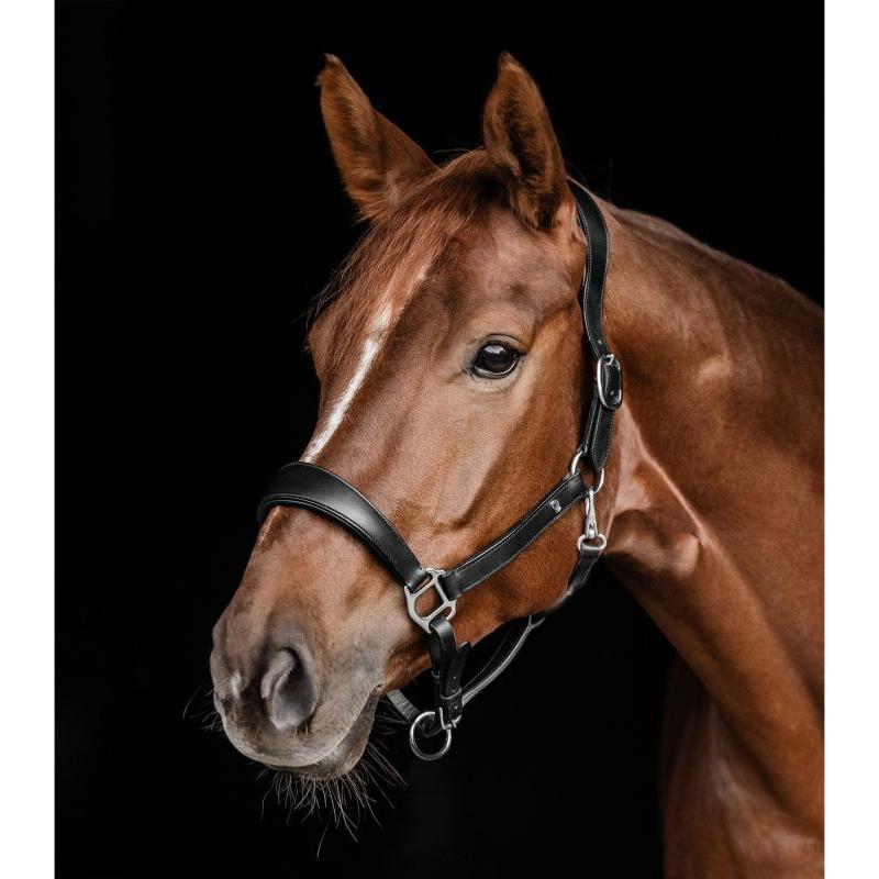 WALDHAUSEN - Licol en cuir matelassé réglable S LINE ANATOMIC