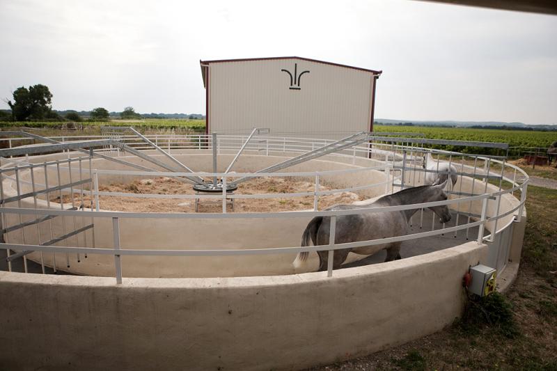 Tapis pour Sol de Marcheur Chevaux en Caoutchouc antidérapant 16 MM , AU M2