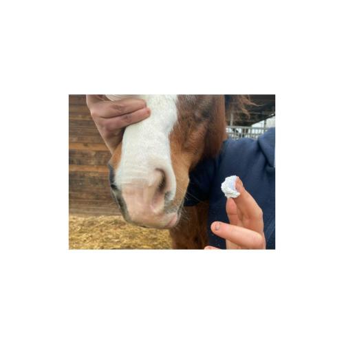 ANIMADERM- Crème de Protection Solaire du Cheval SOLAREN