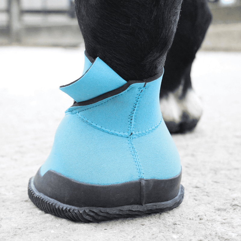 WOOF WEAR - Chausson de Soin Cheval Medical  en Néoprène avec Zip Hoof Boot TAILLE 1